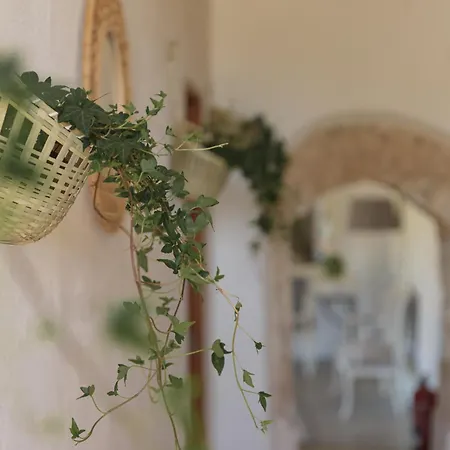 Historic Nature, Charm & Total Privacy *