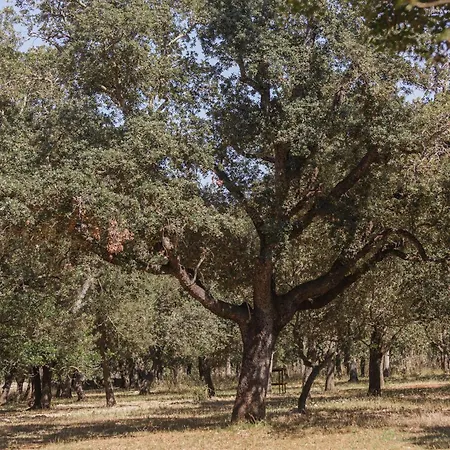 Historic Nature, Charm & Total Privacy Buger