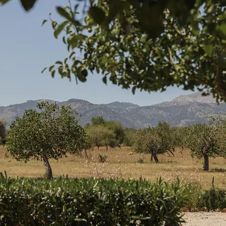 Historic Nature, Charm & Total Privacy * Buger