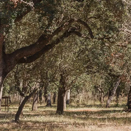 Historic Nature, Charm & Total Privacy Buger